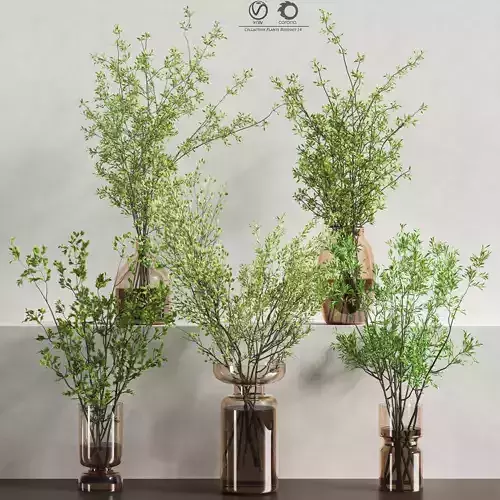 Collaction Plants Bouquet 14