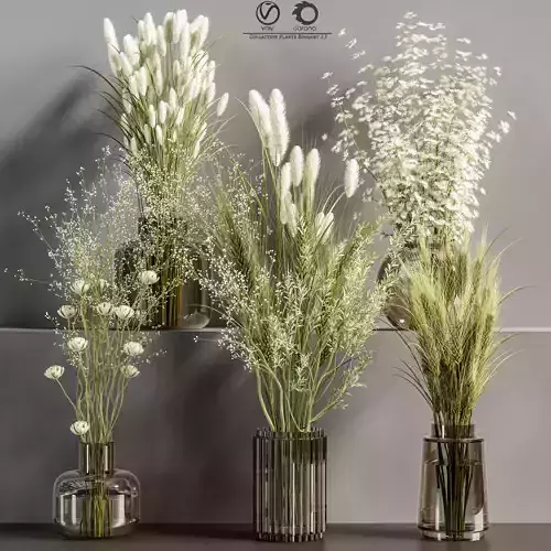 Collaction Plants Bouquet 13