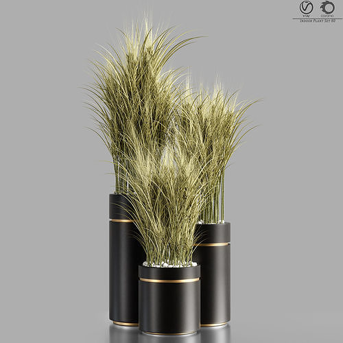Indoor Plant Set 80 3D model
