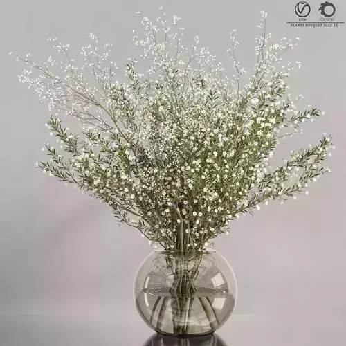 plants bouquet vase 16