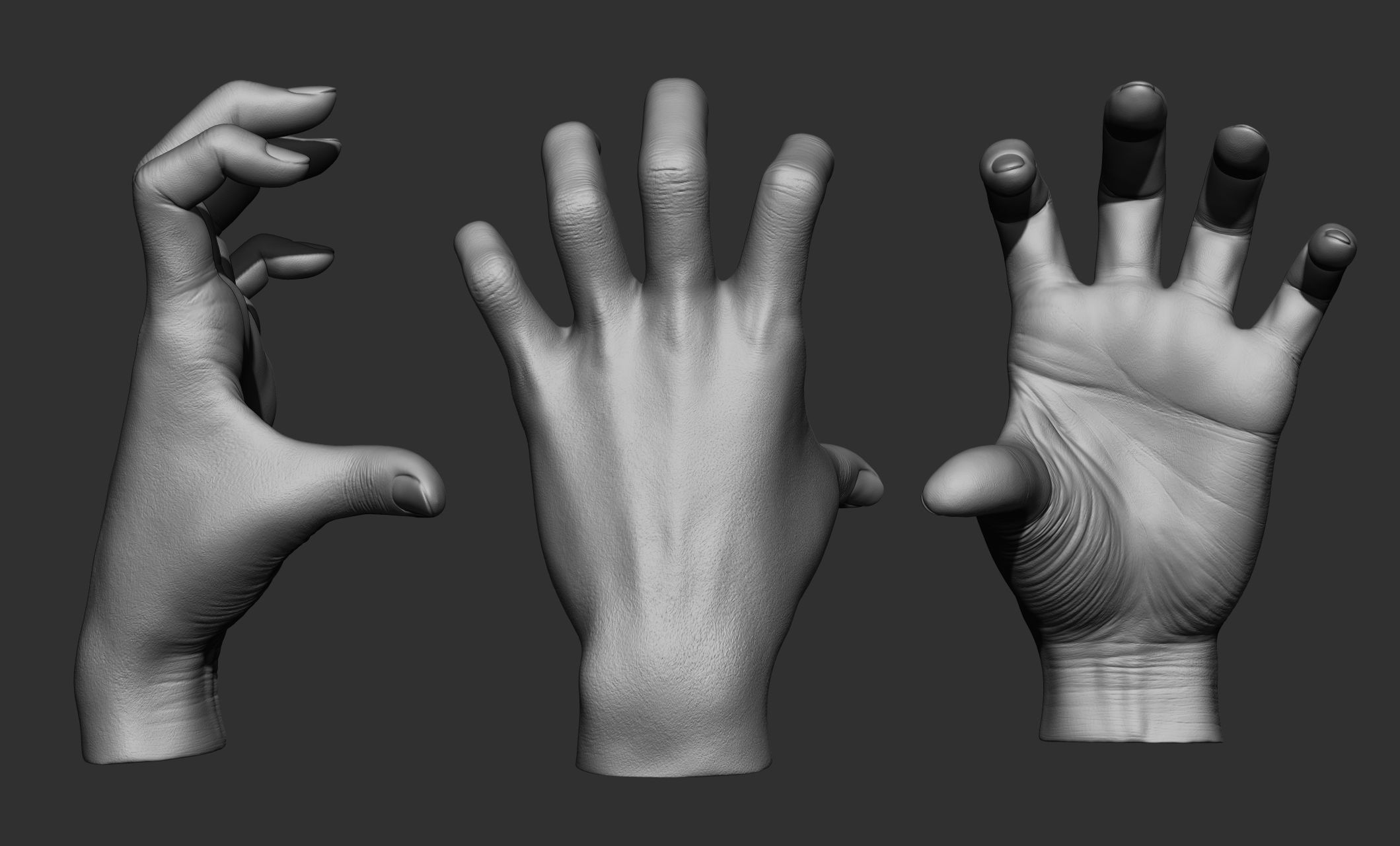 15 Female hand poses 3D model_4