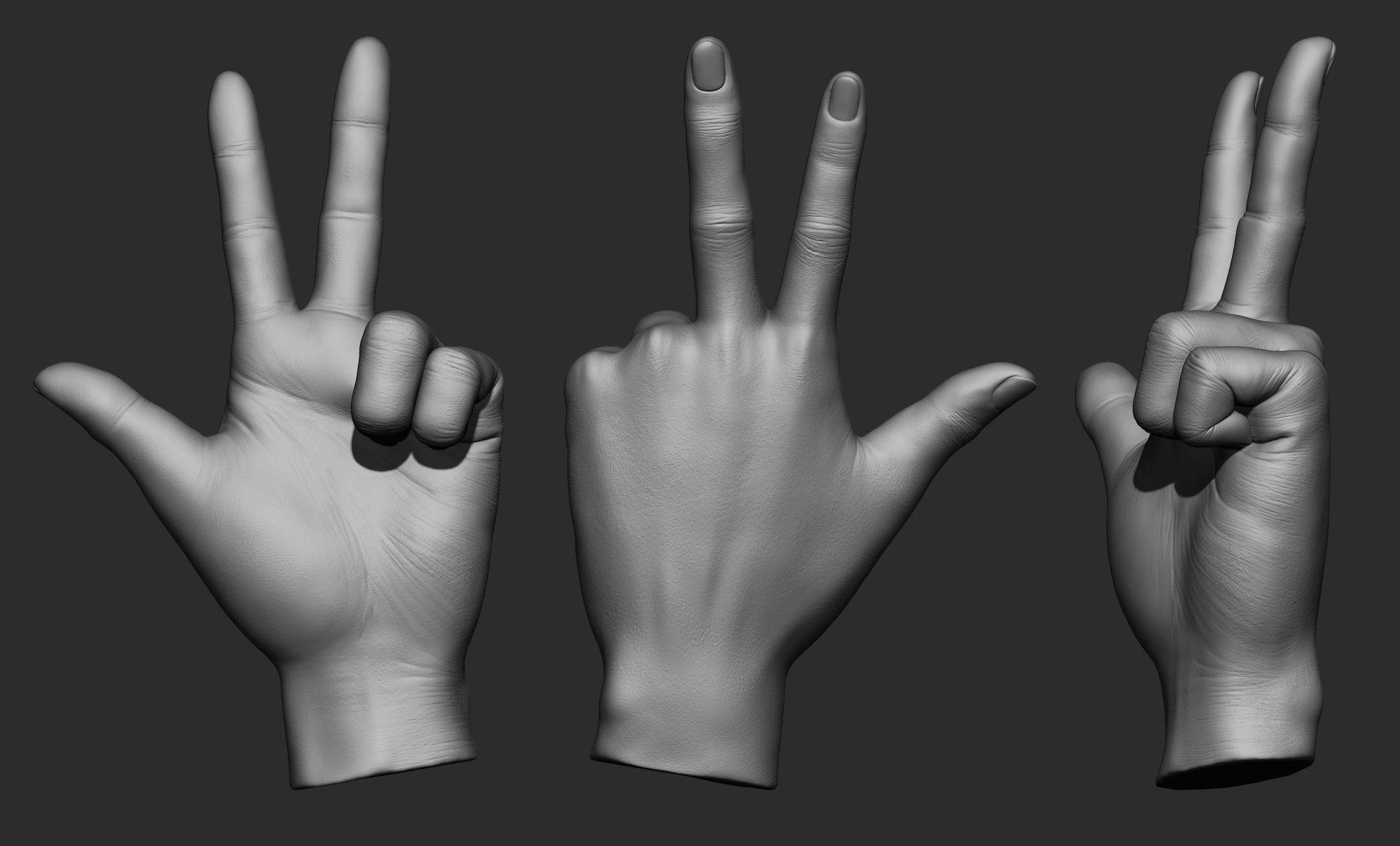 15 Female hand poses 3D model_9
