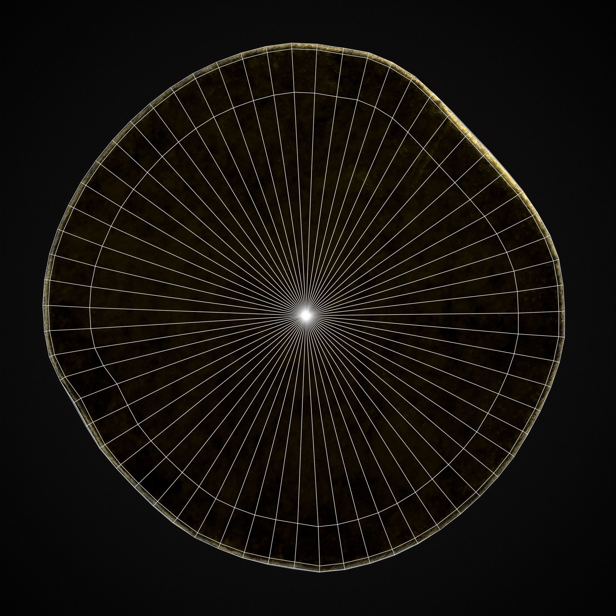 Viking Wolf Coin Low-poly 3D model_8