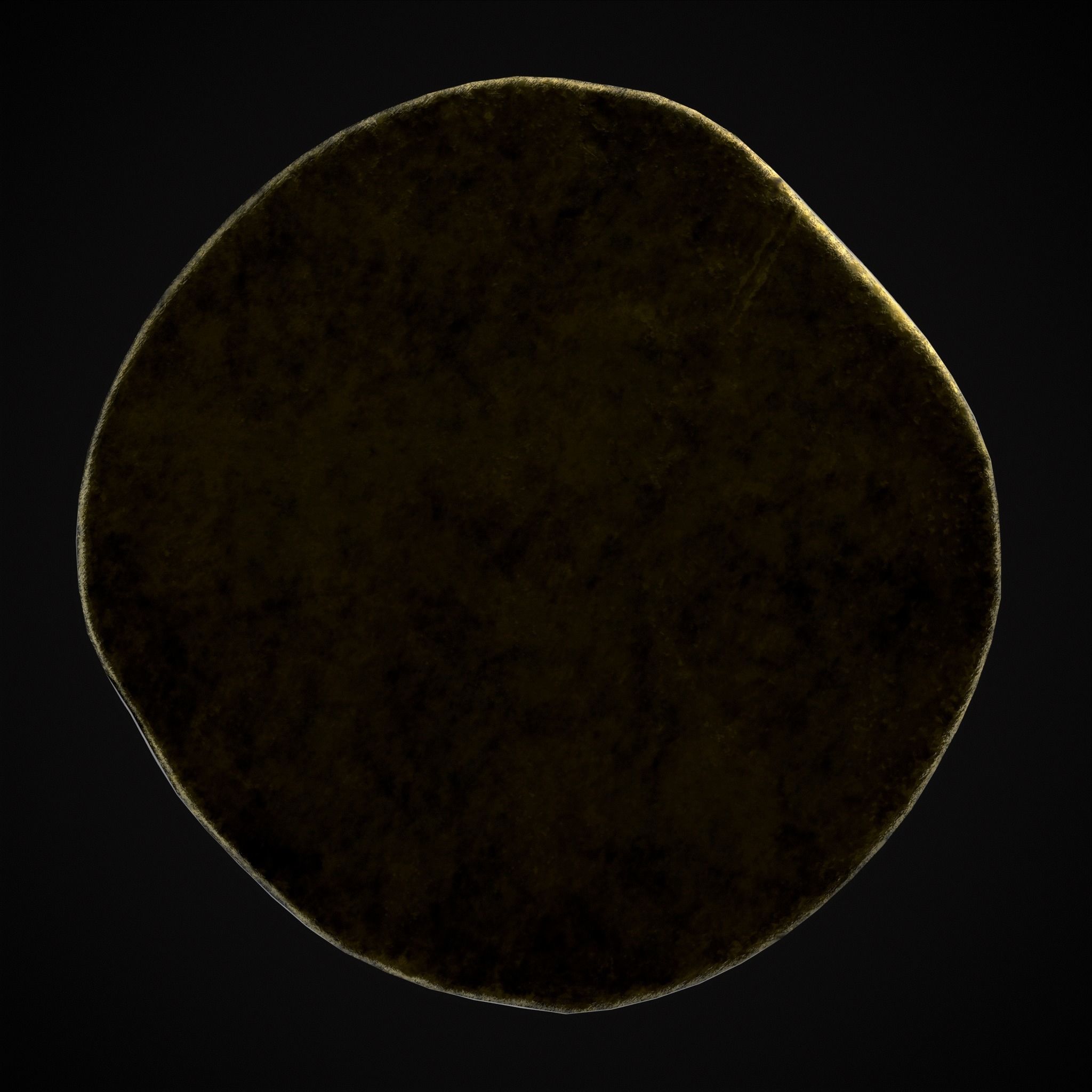 Viking Wolf Coin Low-poly 3D model_7