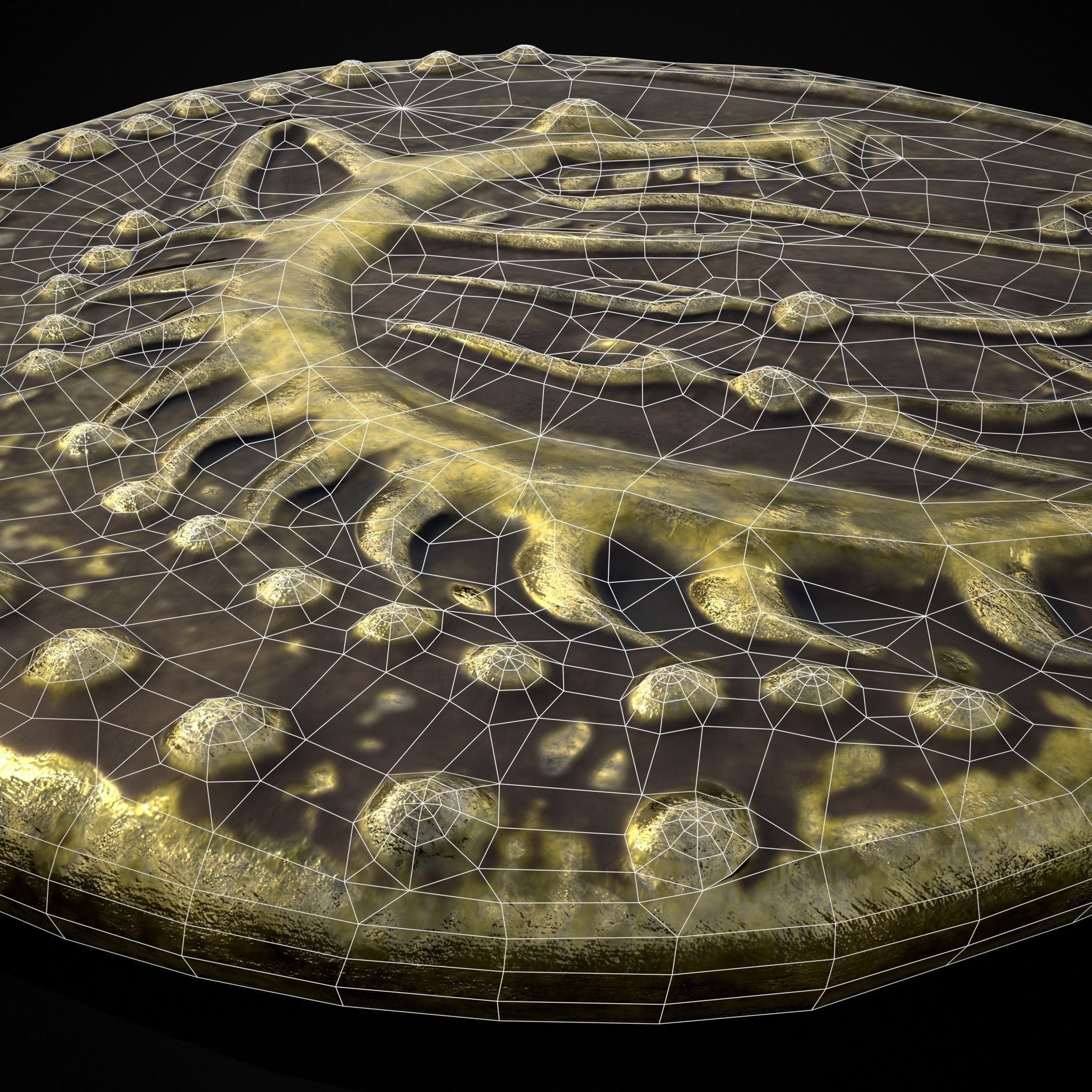 Viking Wolf Coin Low-poly 3D model_14