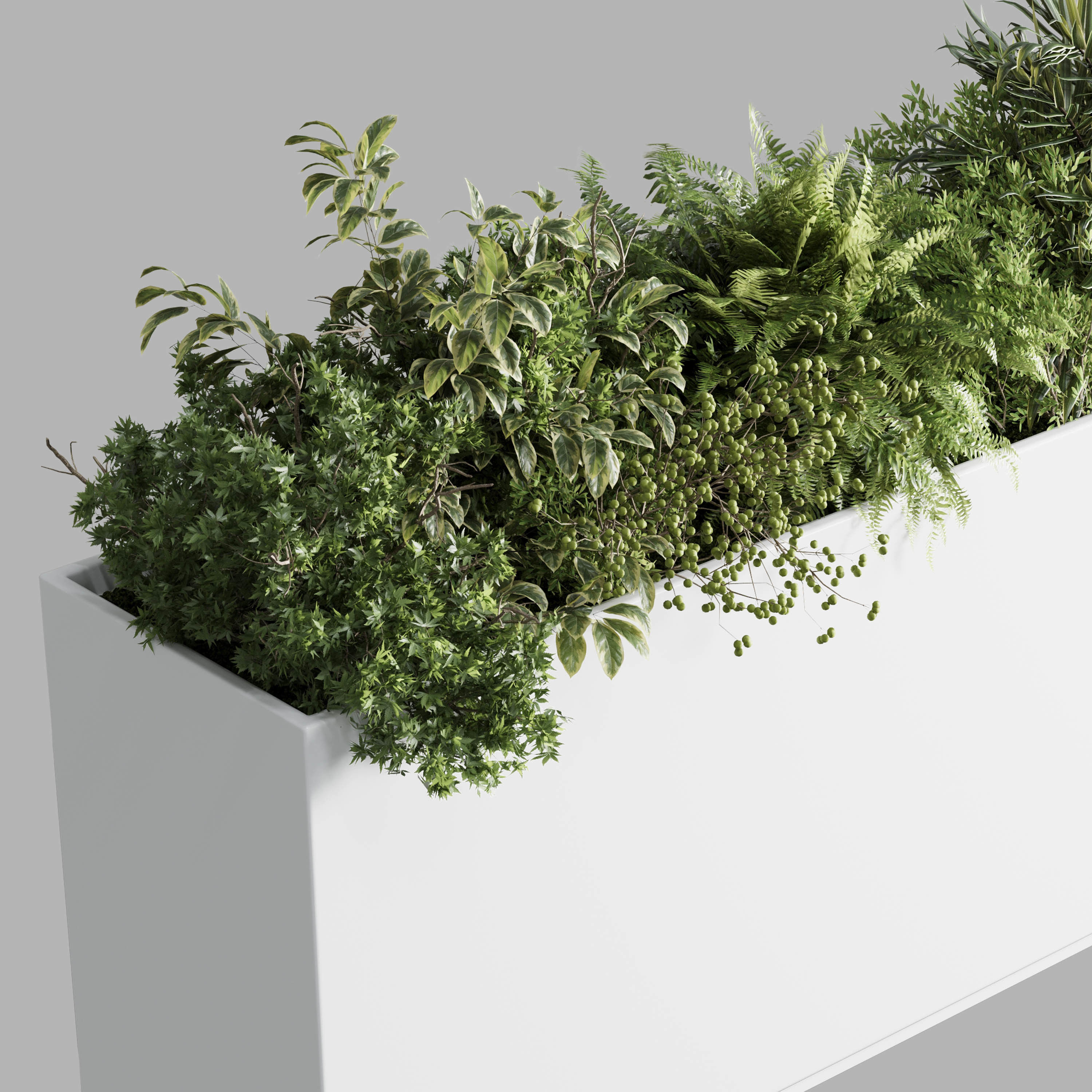 plastic box plants on stand - set indoor plant 389 Low-poly 3D model_3