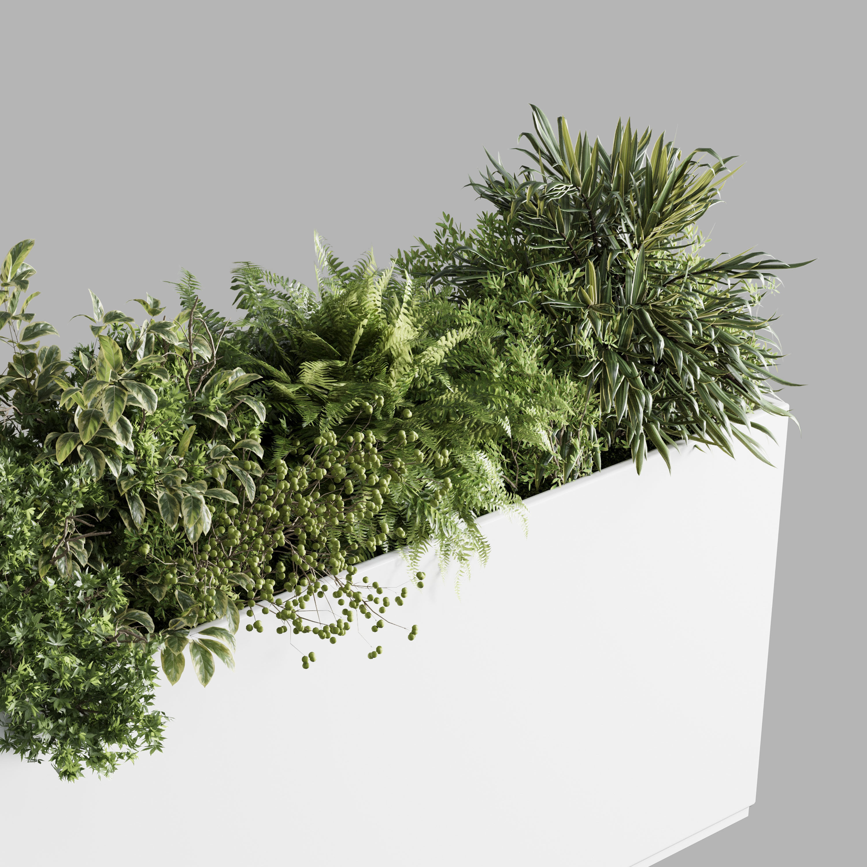 plastic box plants on stand - set indoor plant 389 Low-poly 3D model_4
