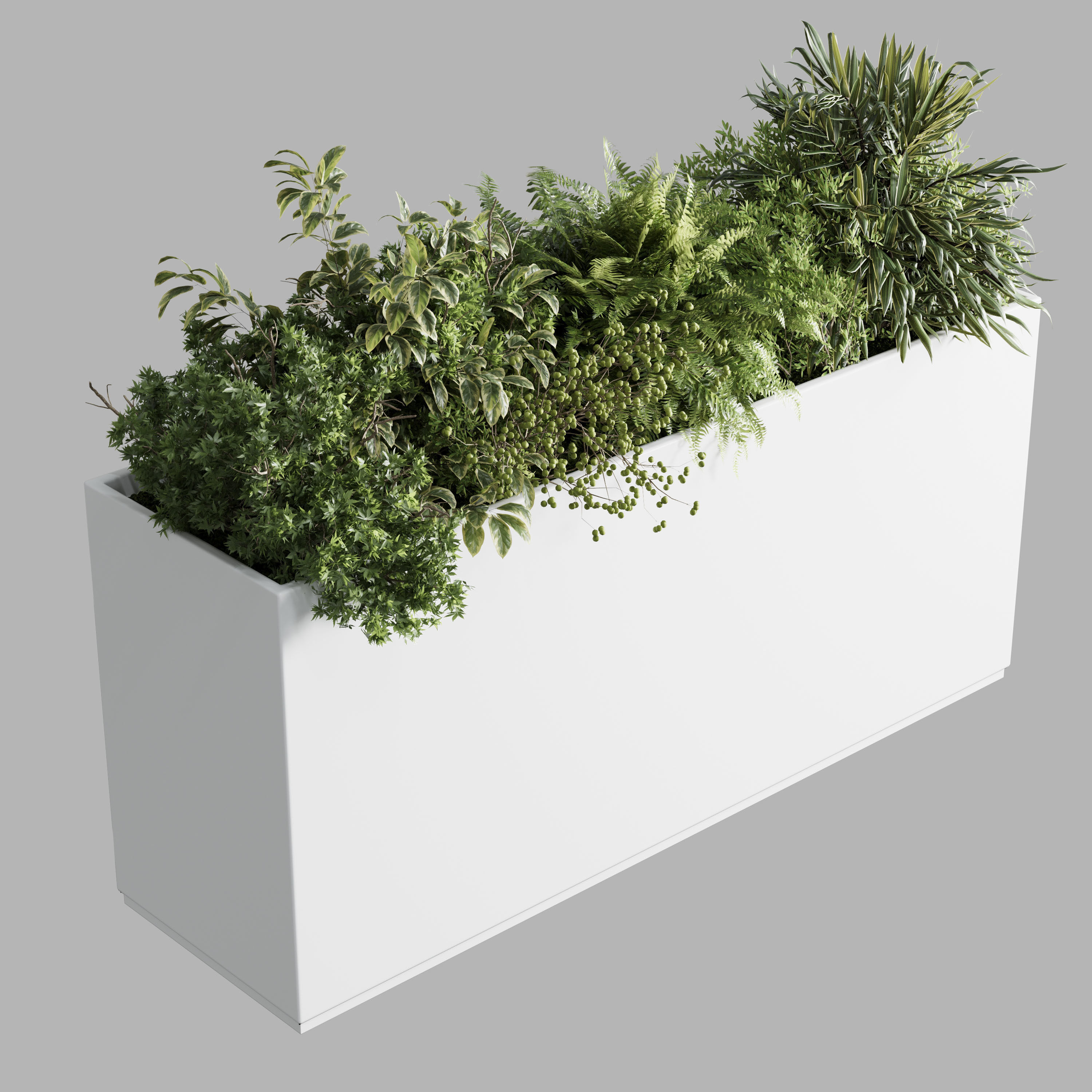 plastic box plants on stand - set indoor plant 389 Low-poly 3D model_1