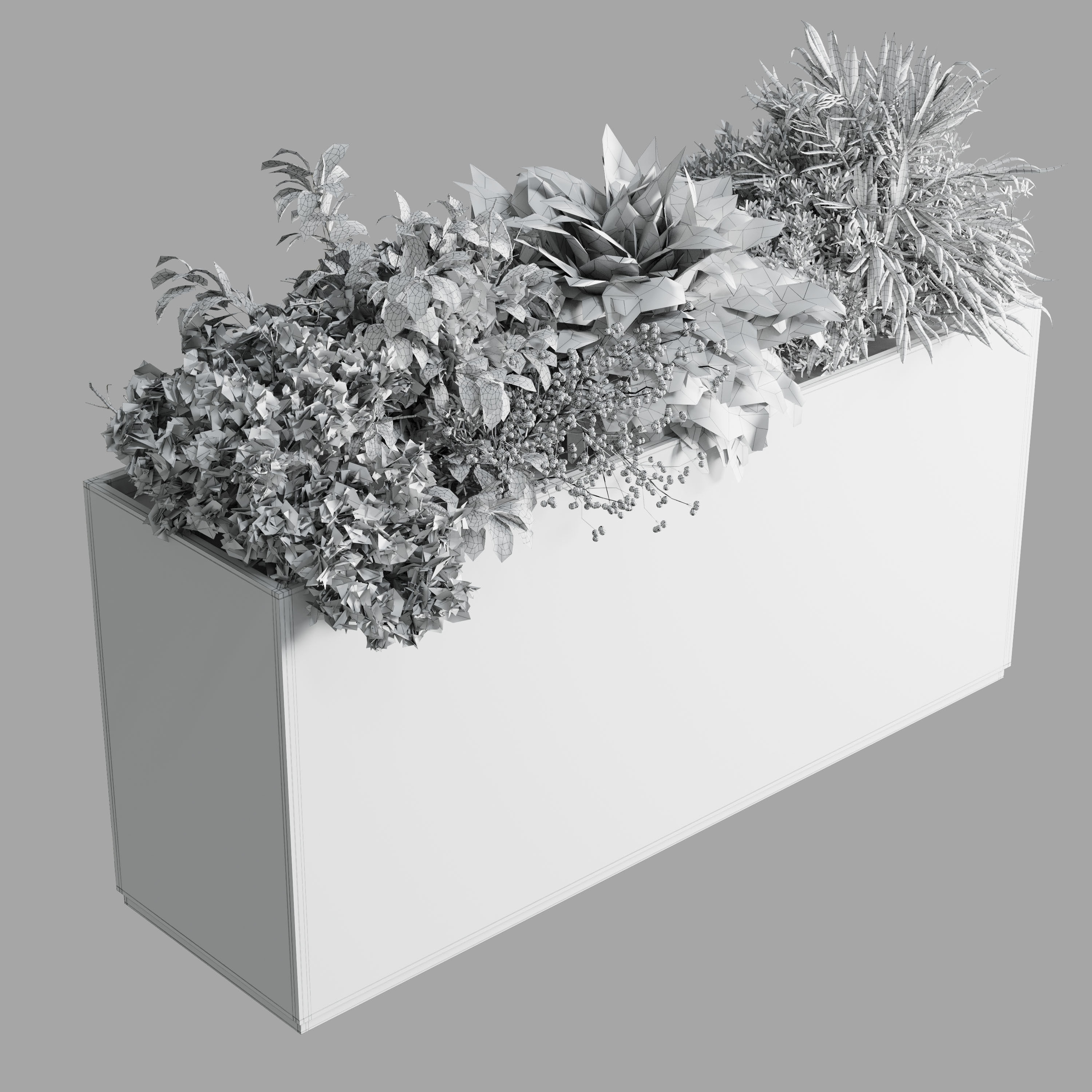 plastic box plants on stand - set indoor plant 389 Low-poly 3D model_5