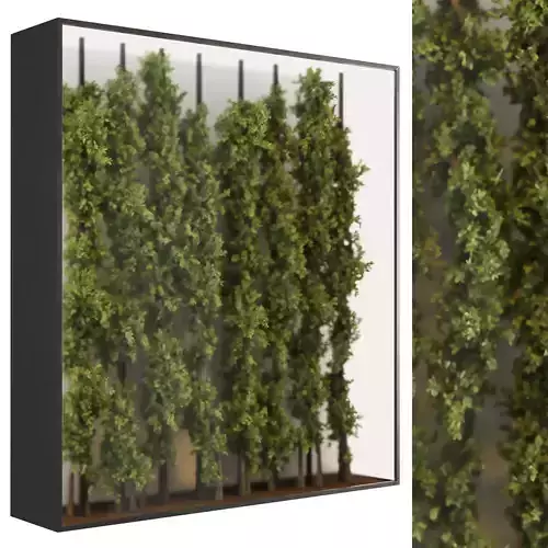 light box with tropical ivy garden in frame glass smoked 03