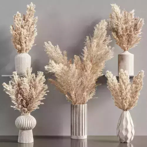 Collaction Plants Bouquet 16  pampas 