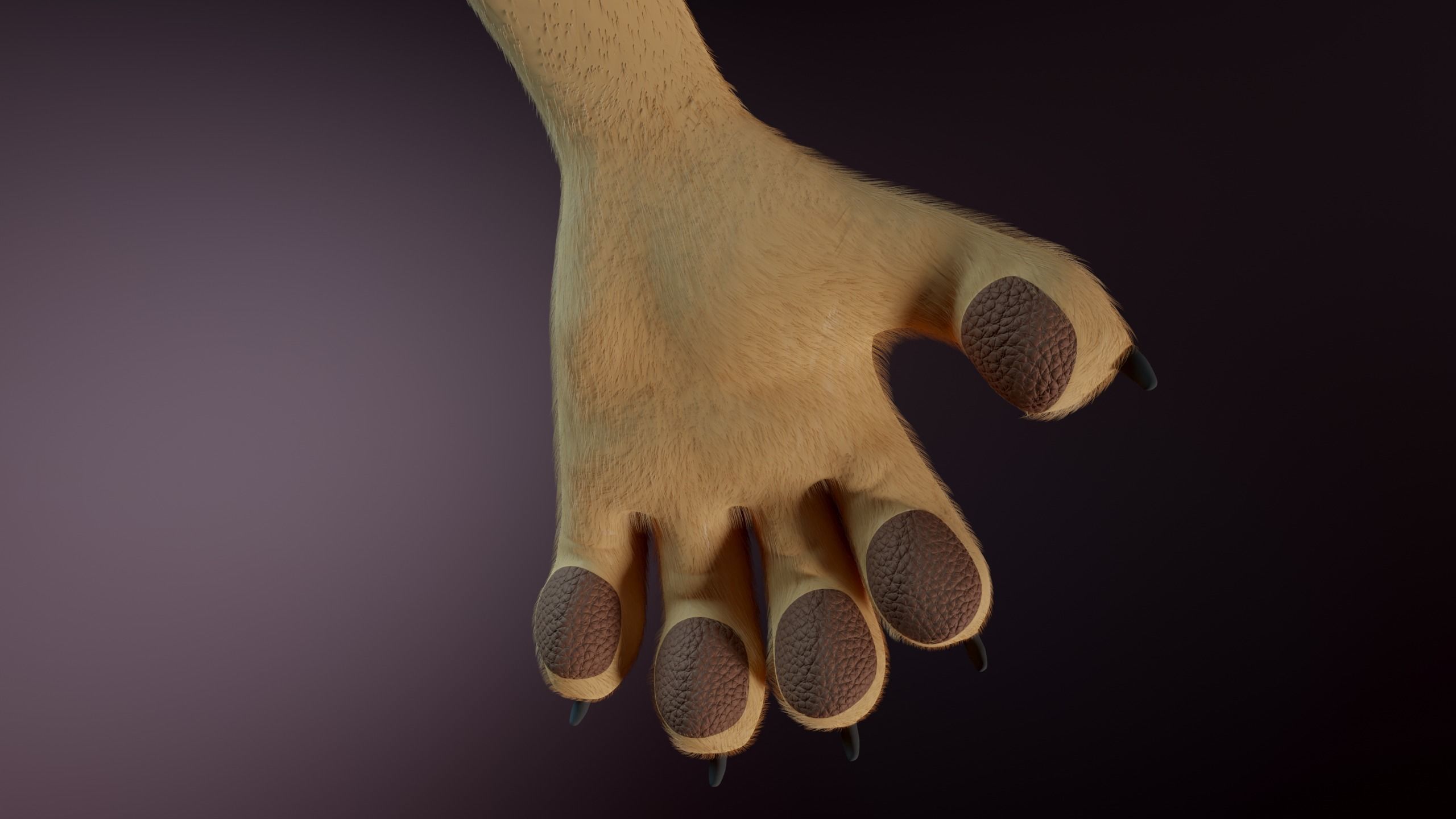 Arthur Anthro Lion 3D model_13