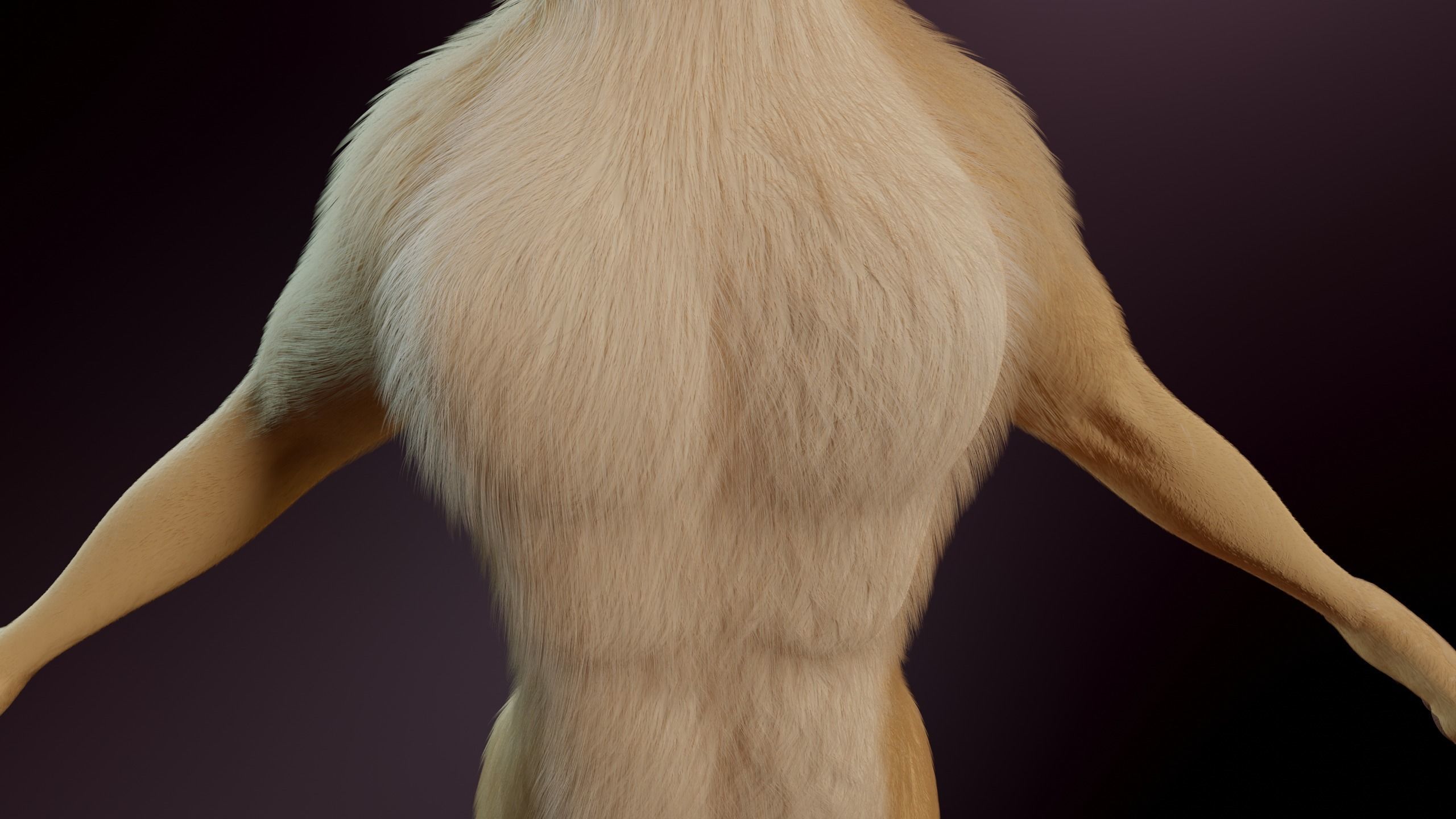 Arthur Anthro Lion 3D model_18