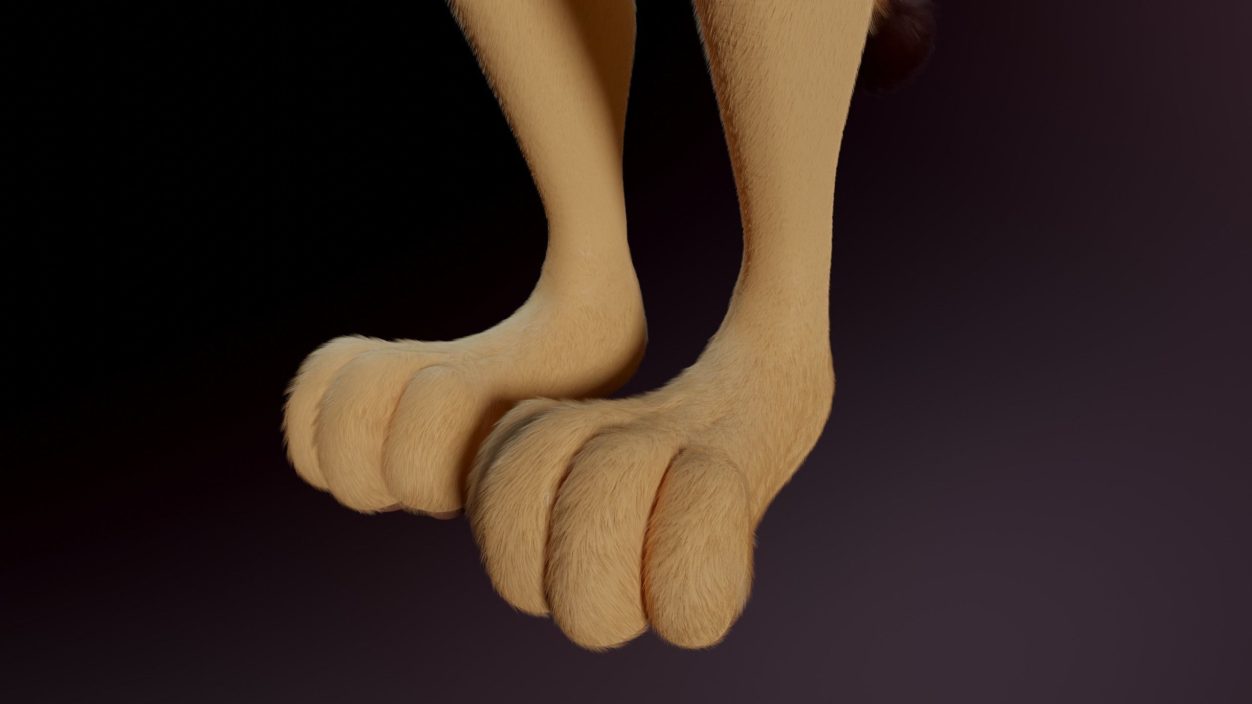 Arthur Anthro Lion 3D model_14
