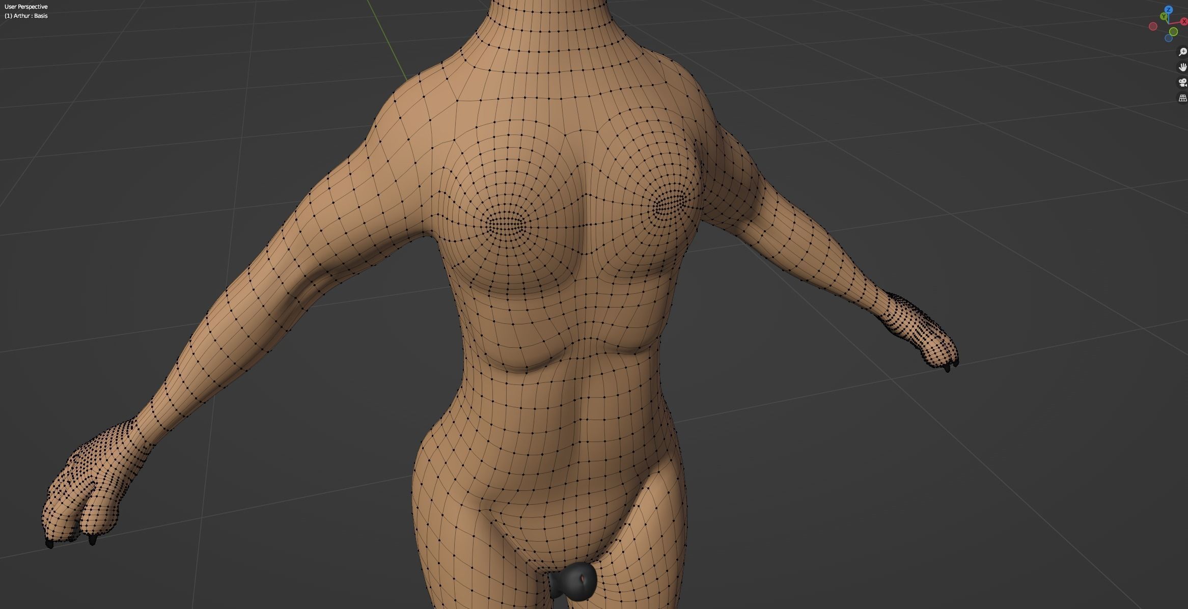 Arthur Anthro Lion 3D model_67