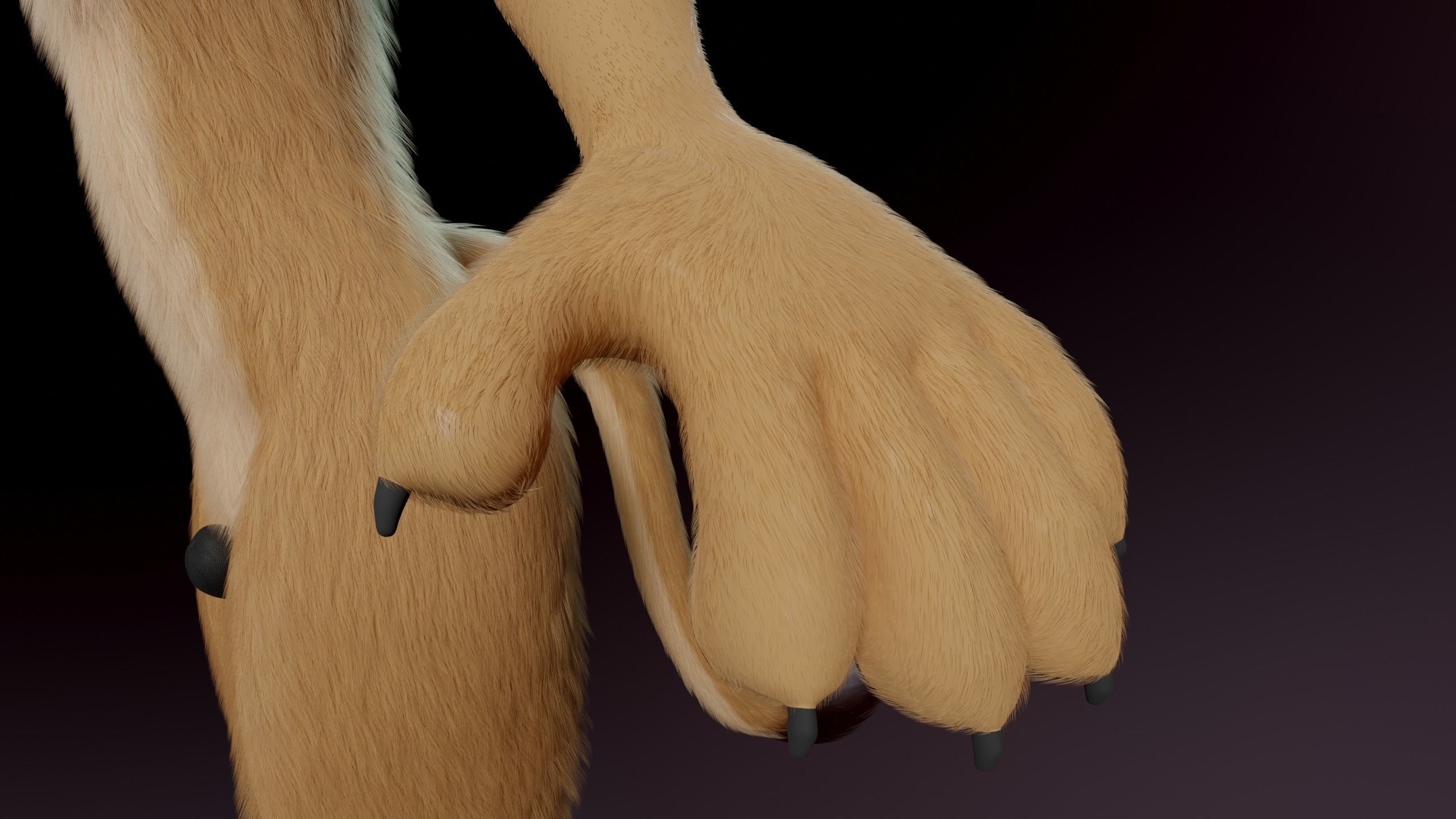 Arthur Anthro Lion 3D model_12