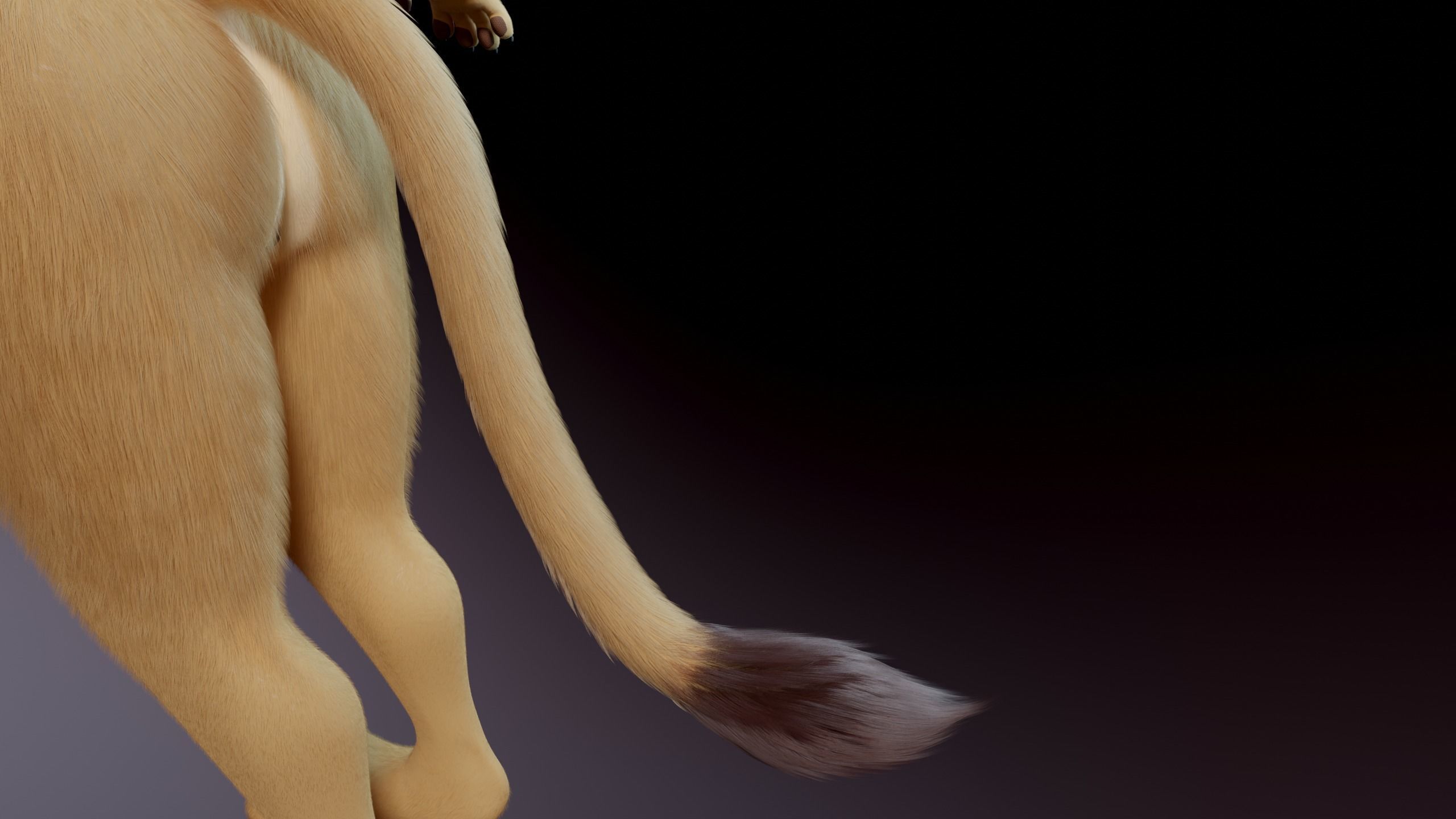 Arthur Anthro Lion 3D model_11