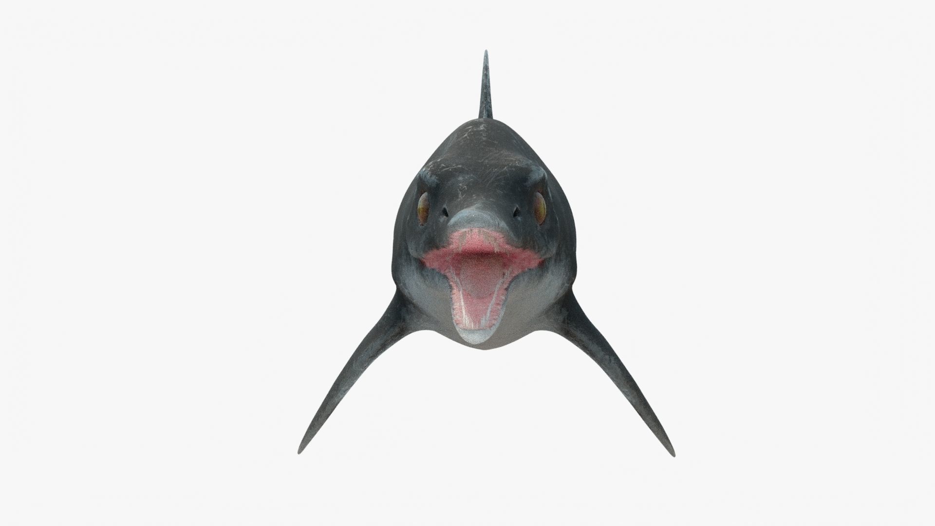 8K Realistic Ichthyosaurus Low-poly 3D model_2