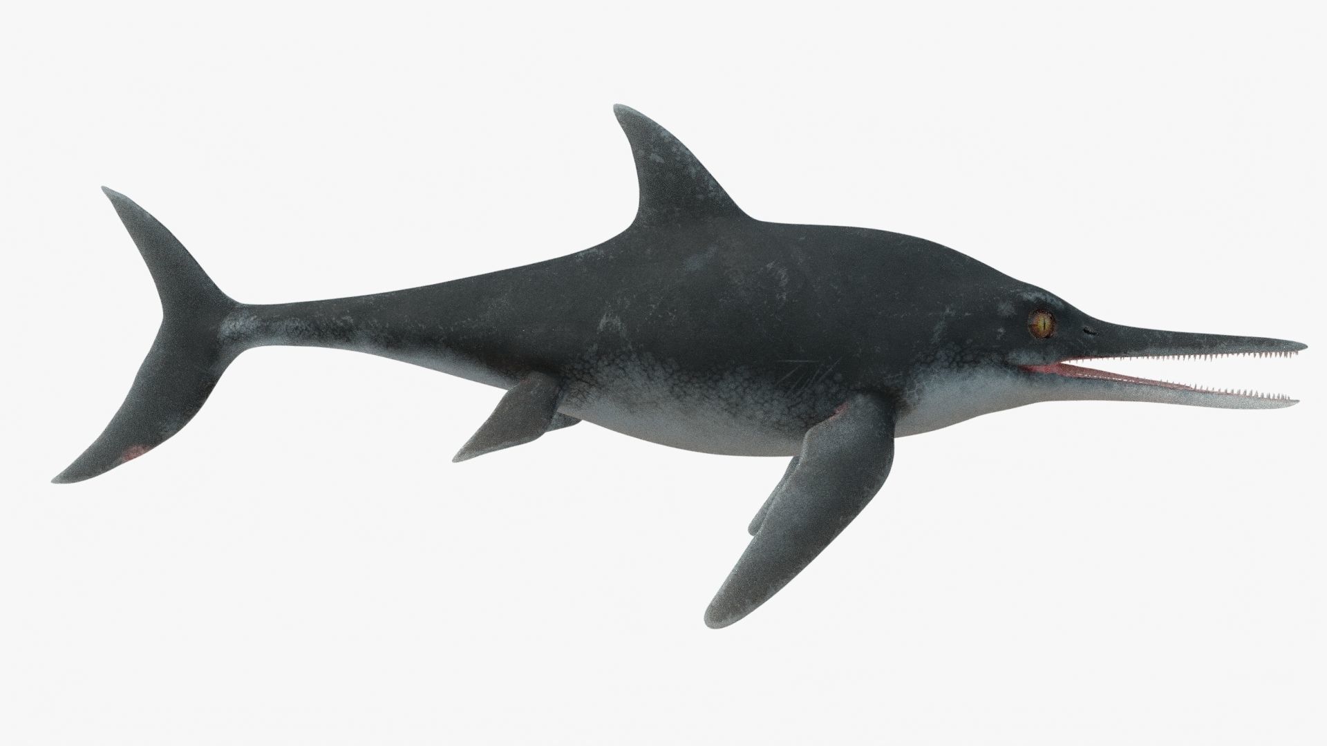 8K Realistic Ichthyosaurus Low-poly 3D model_6