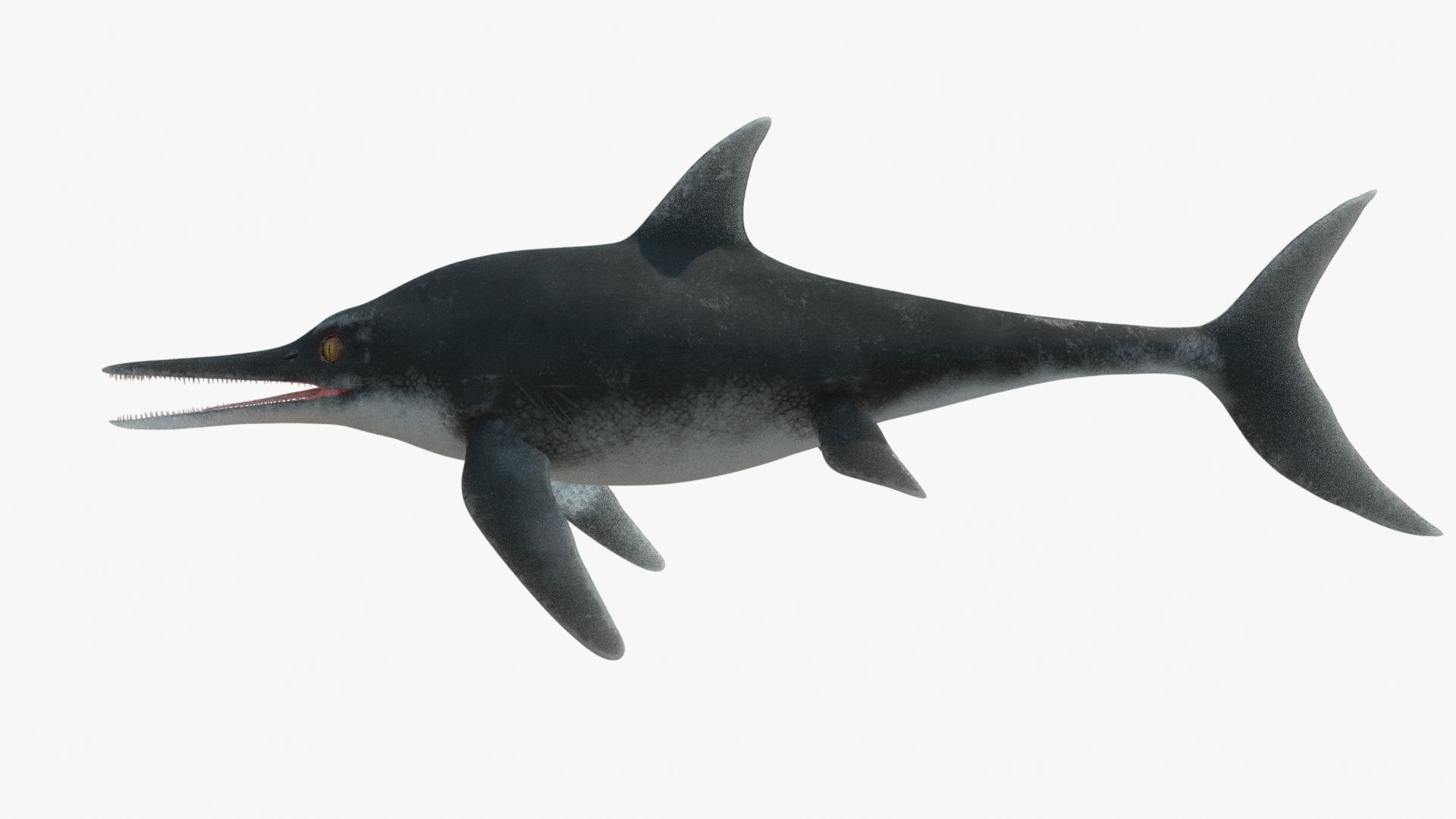 8K Realistic Ichthyosaurus Low-poly 3D model_4