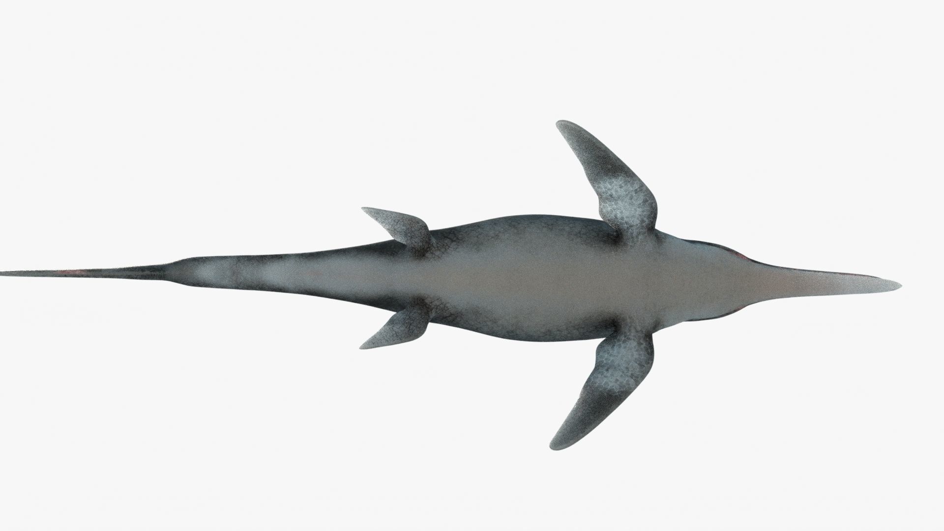 8K Realistic Ichthyosaurus Low-poly 3D model_8