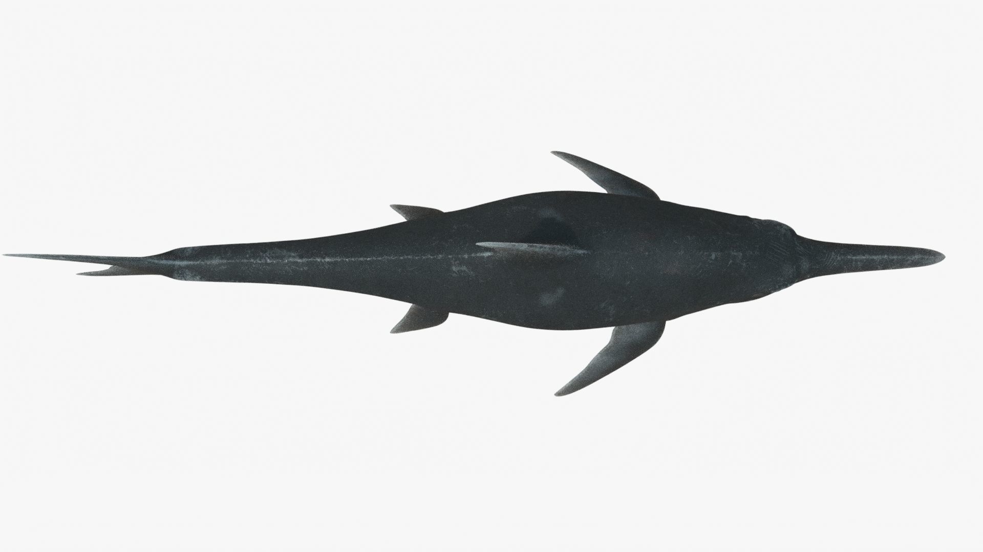 8K Realistic Ichthyosaurus Low-poly 3D model_7