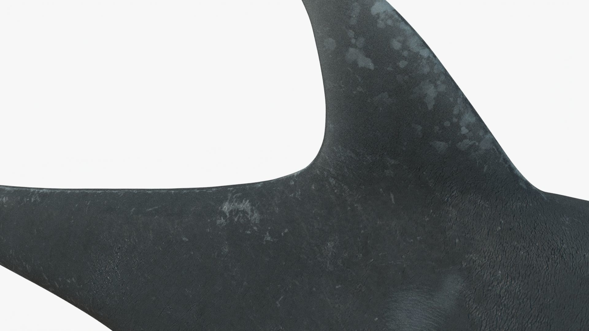 8K Realistic Ichthyosaurus Low-poly 3D model_12