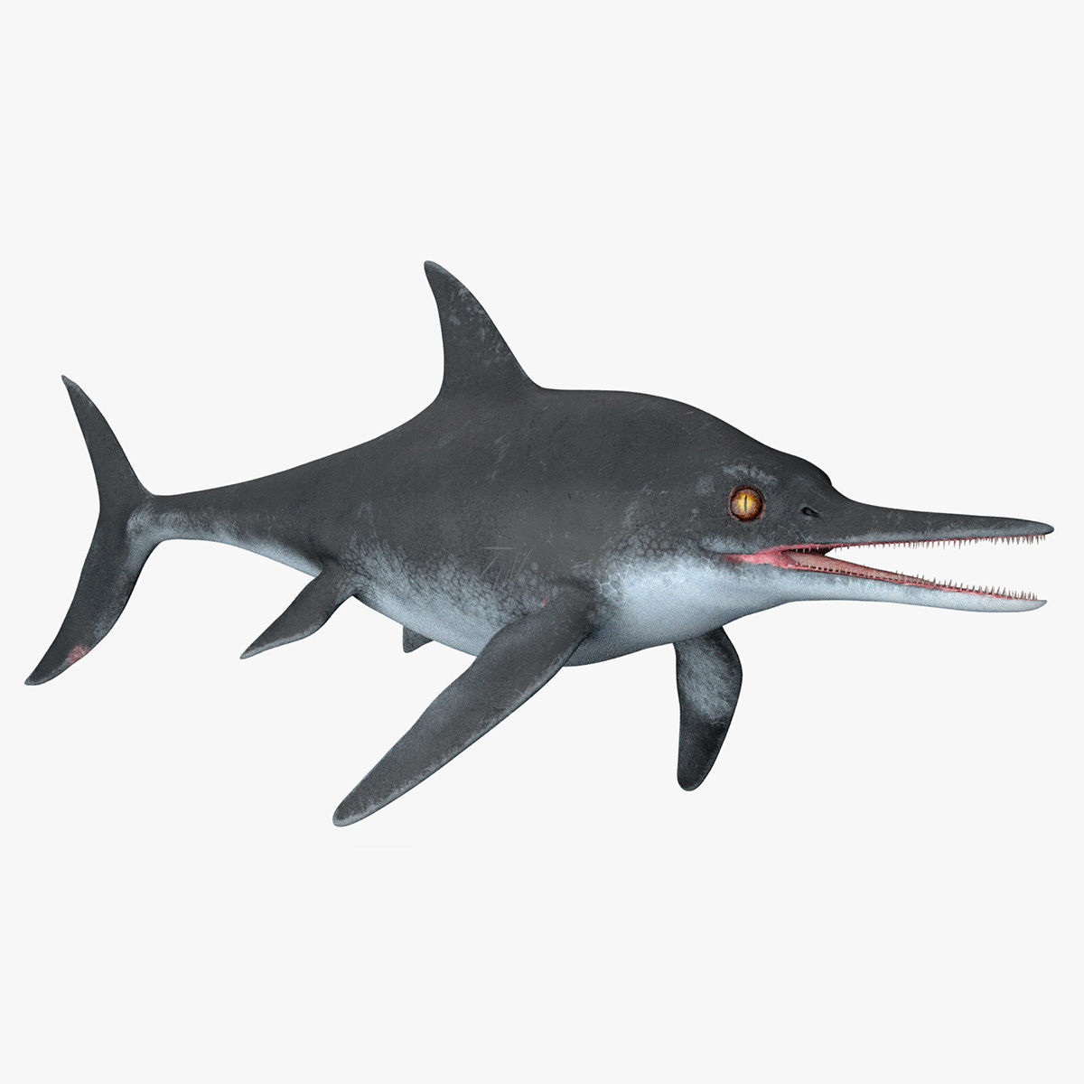 8K Realistic Ichthyosaurus Low-poly 3D model_16