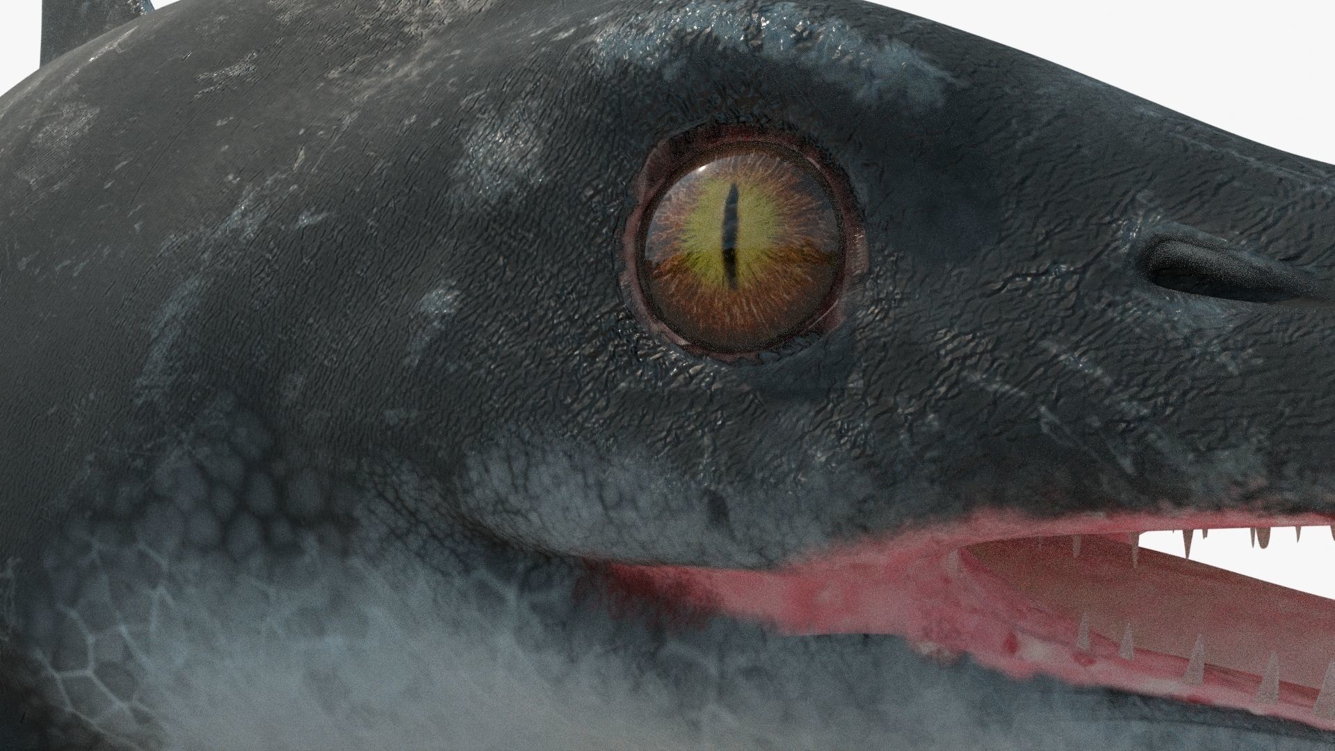 8K Realistic Ichthyosaurus Low-poly 3D model_10