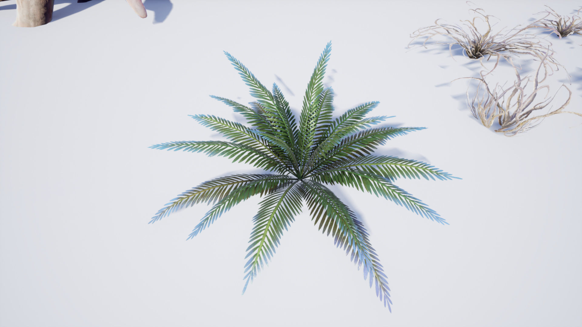 Tropical Alien Jungle - Fantasy Forest Environment - Unreal Low-poly 3D model_55