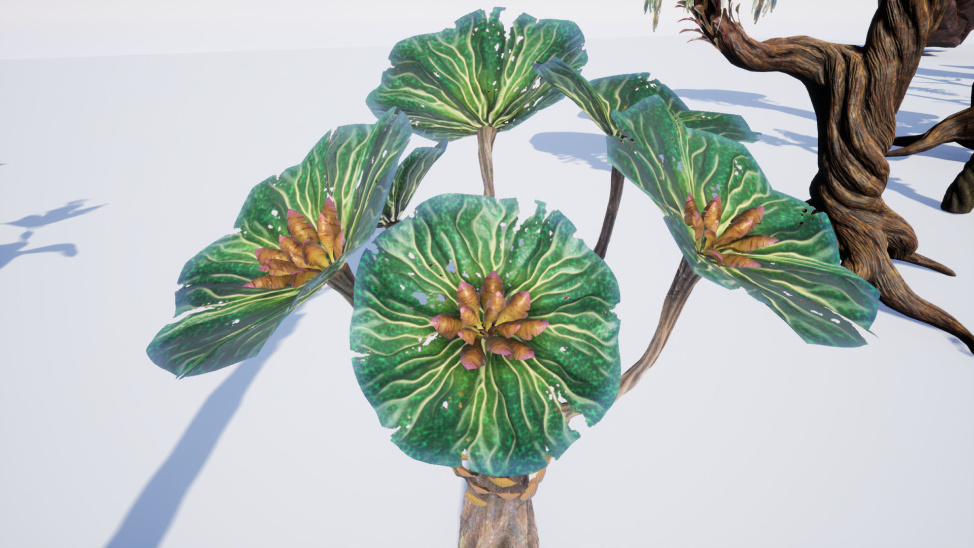 Tropical Alien Jungle - Fantasy Forest Environment - Unreal Low-poly 3D model_46