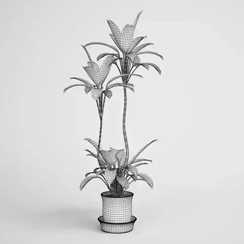 Potted Plant 13