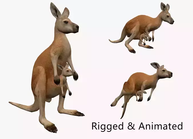 animated kangaroo with baby Low-poly 3D model