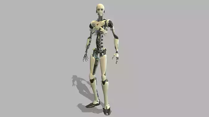 Robot Low-poly 3D model