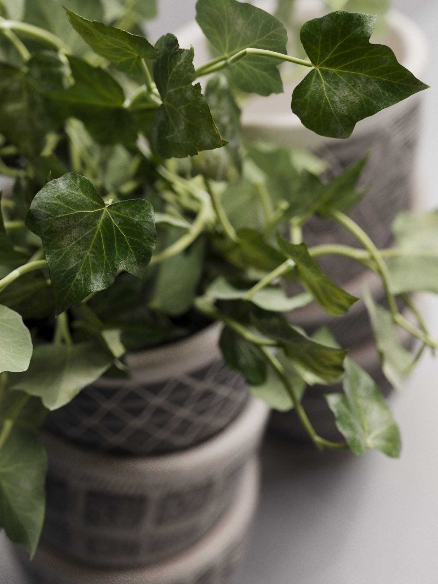 Vase Set 134 3D model_2