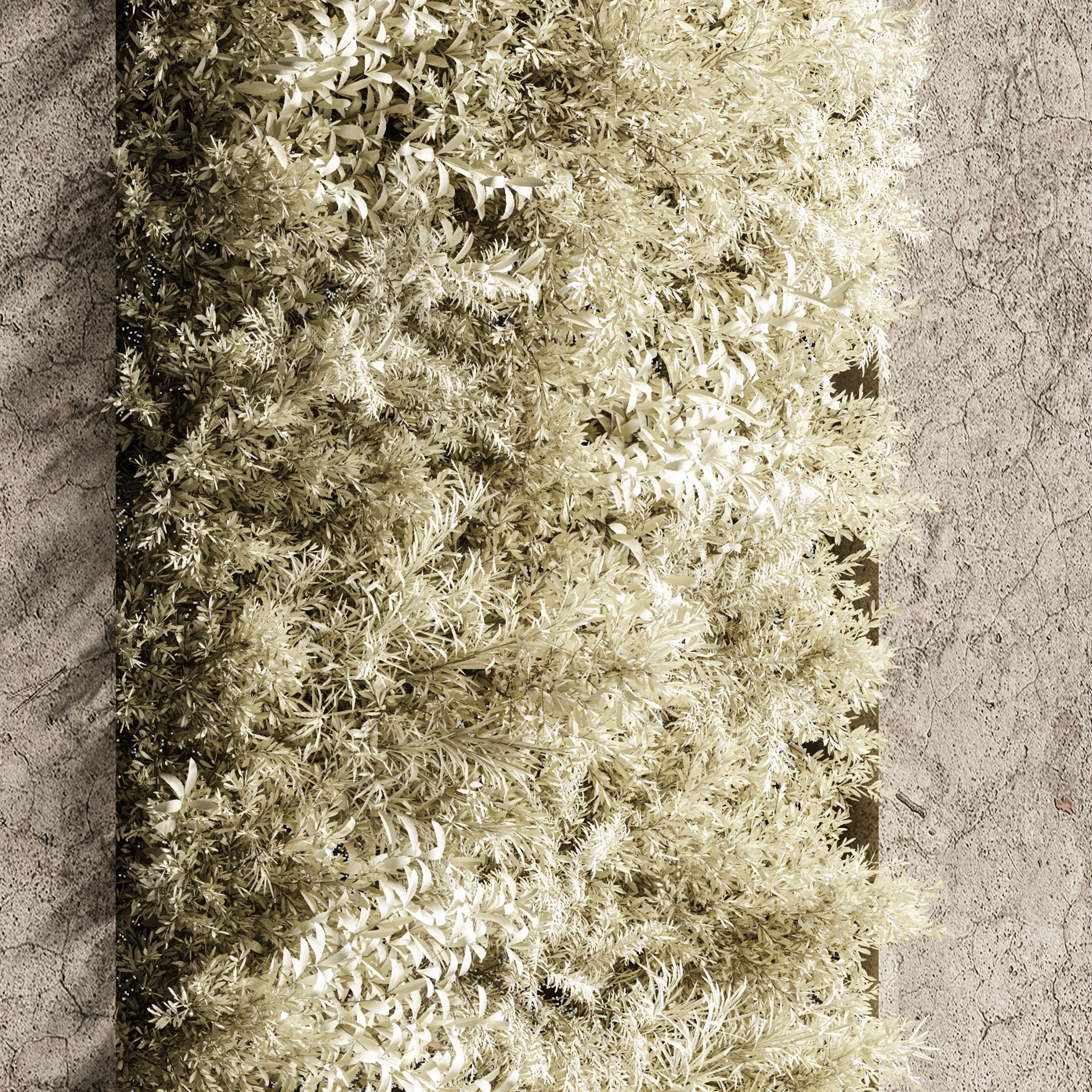Concrete and vertical garden 04 White vertical garden  3D model_4