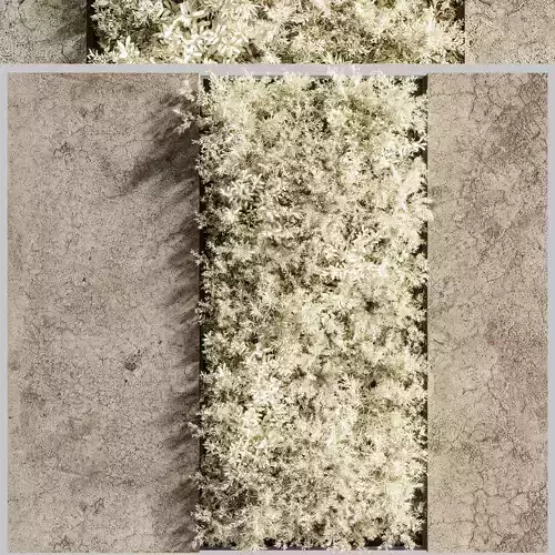 Concrete and vertical garden 04 White vertical garden  3D model