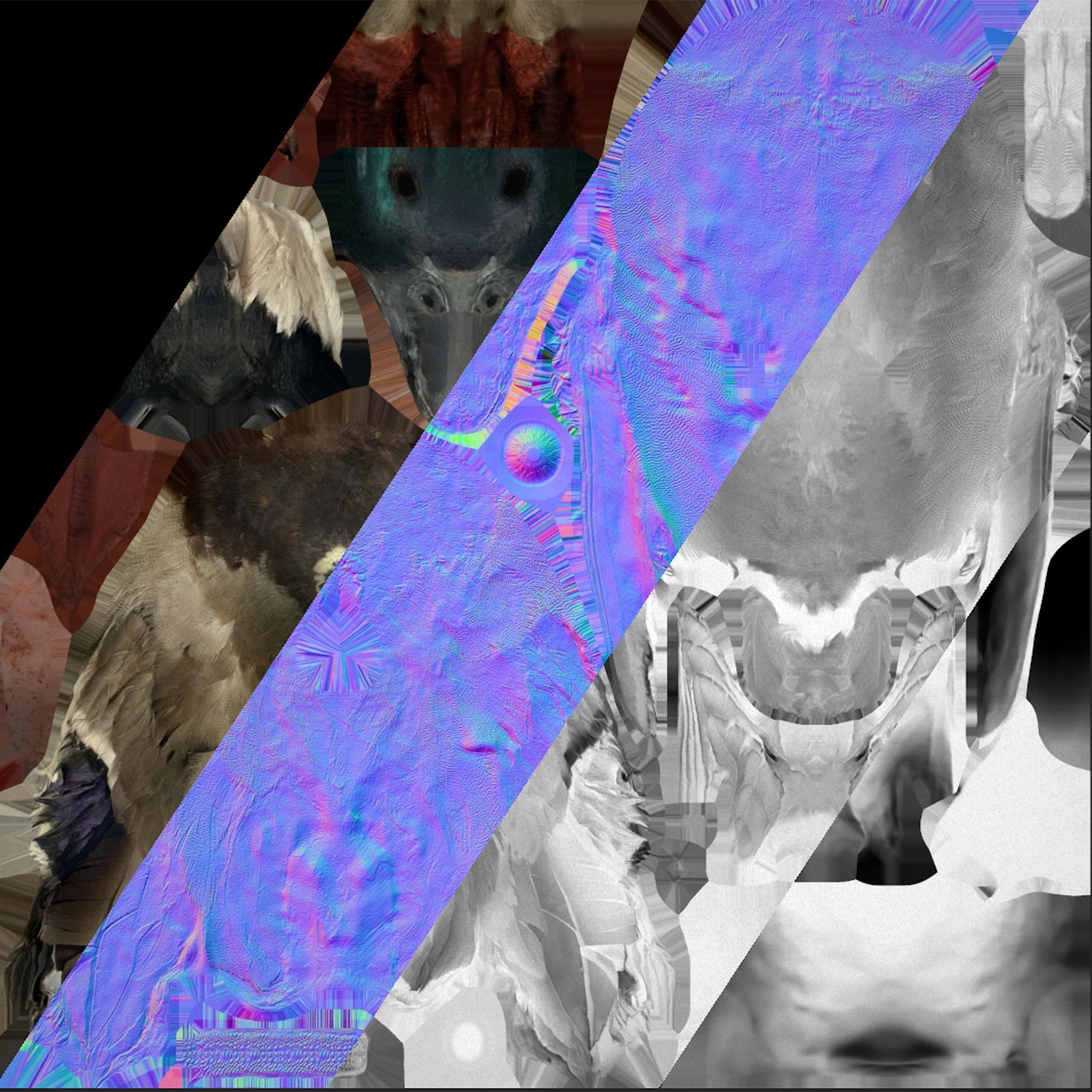 Duck Pack Low-poly 3D model_32