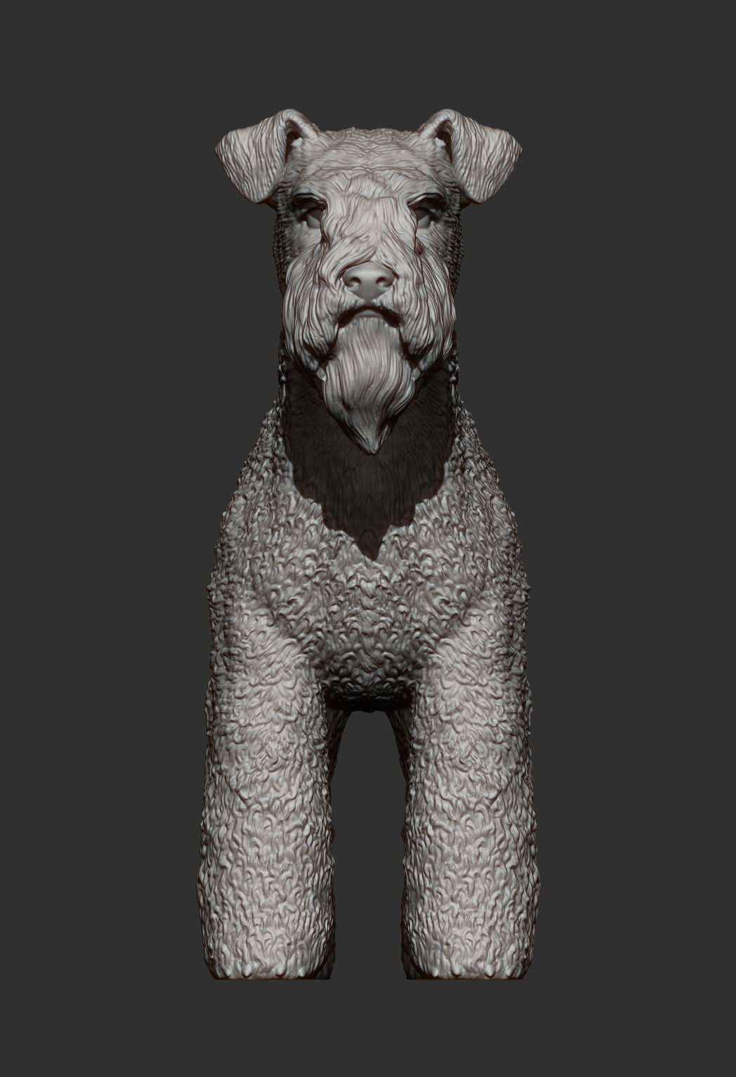 kerry blue terrier 3D print model_8