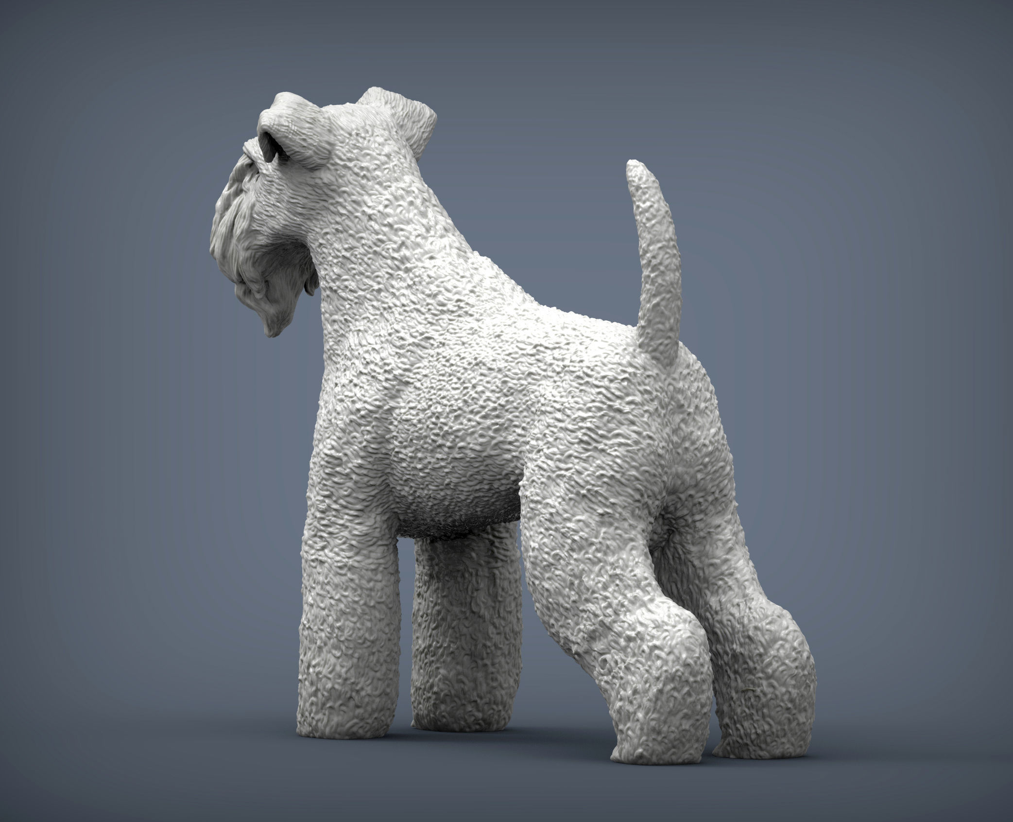 kerry blue terrier 3D print model_5