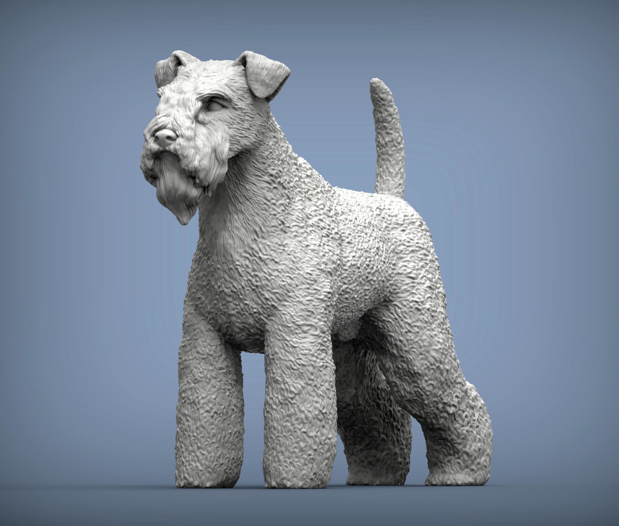 kerry blue terrier 3D print model_3