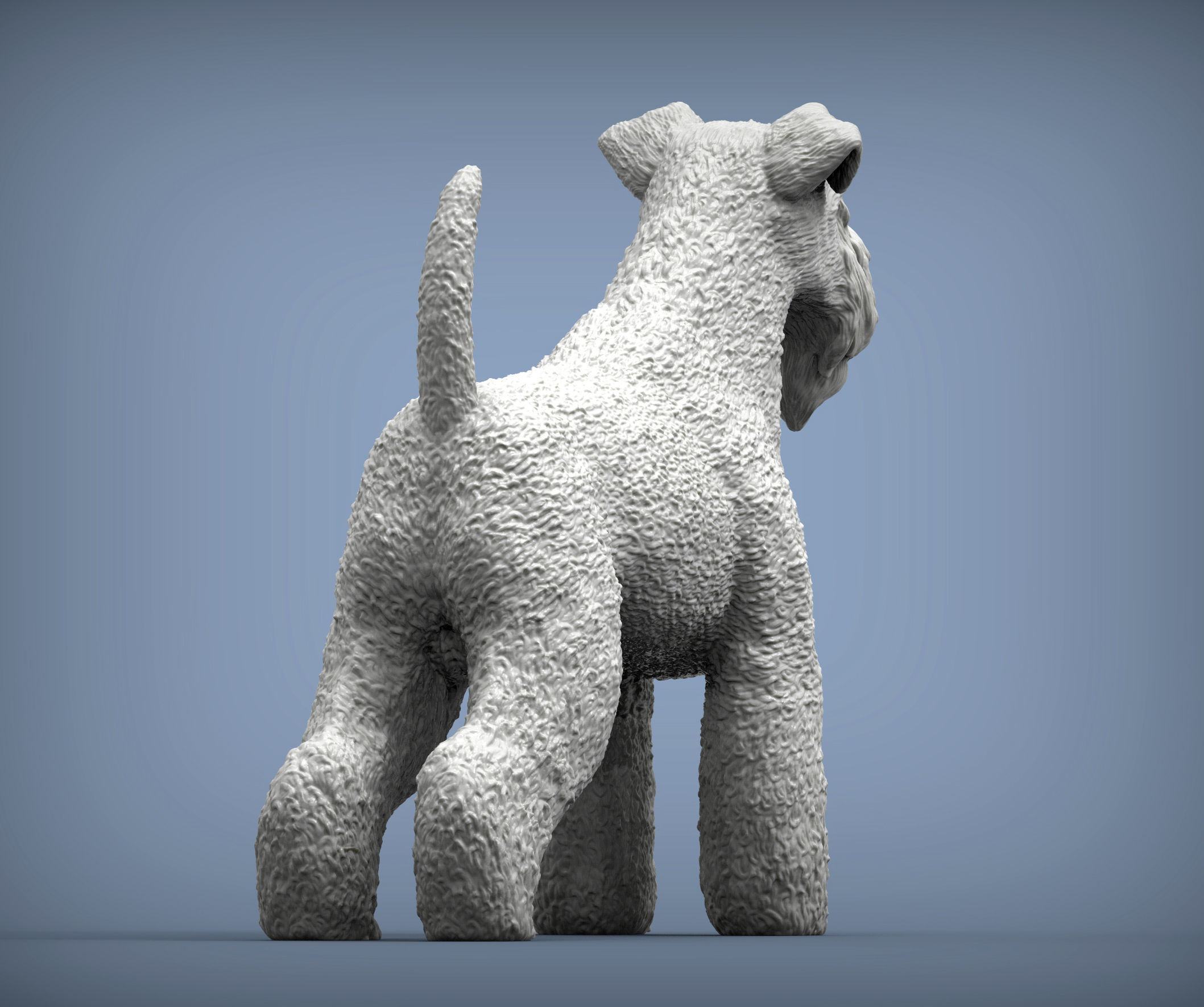 kerry blue terrier 3D print model_6