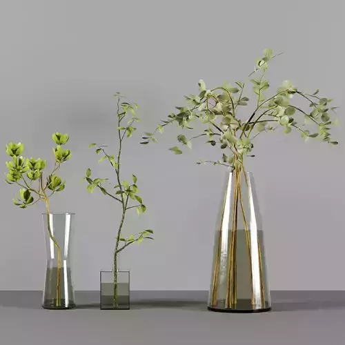 Collaction Indoor Plants 3D model