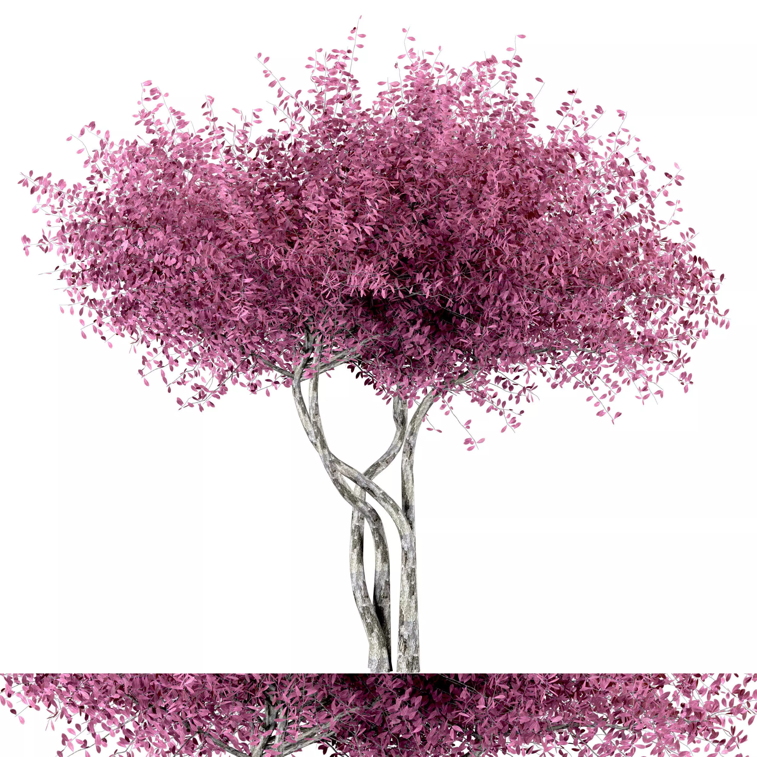 Japanese Pink Tree Low-poly 3D model_0