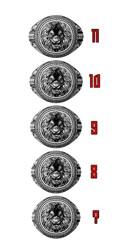 Patterned lion ring 780 3D print model_14