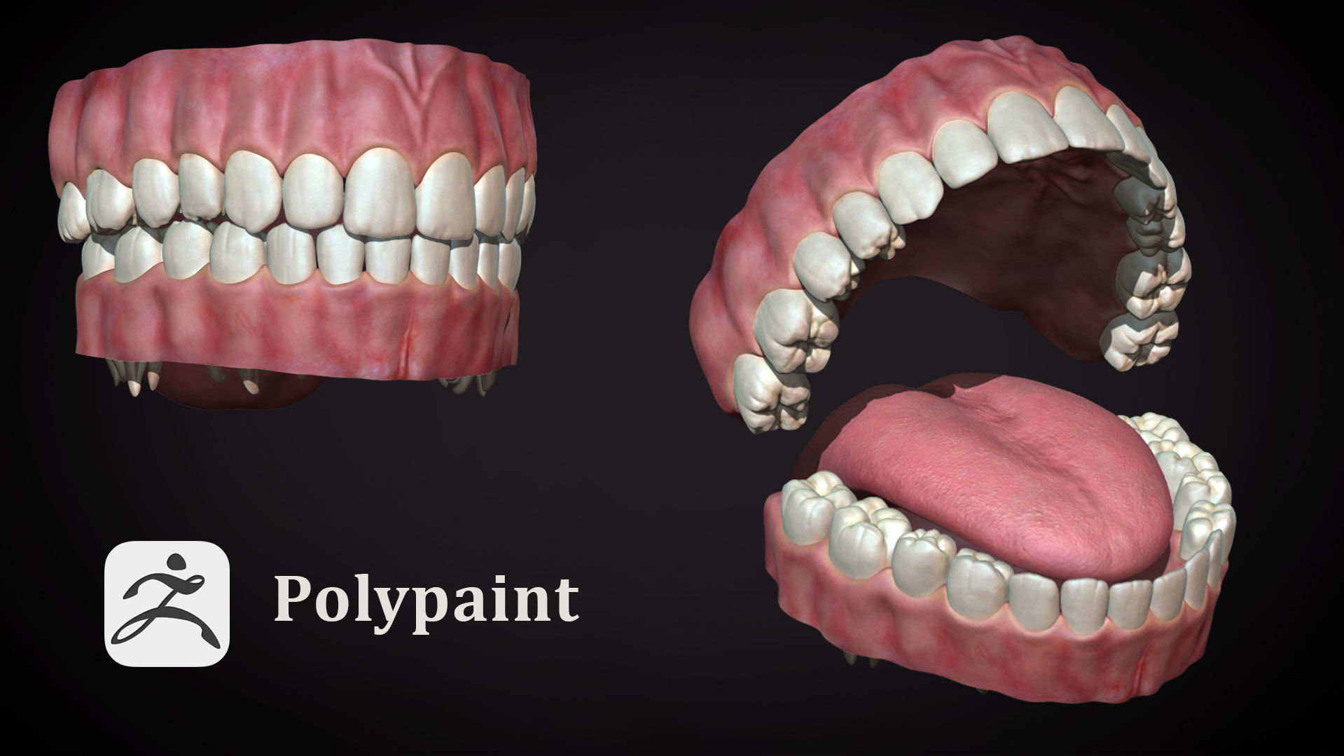Teeth - Game Ready Low-poly 3D model_5