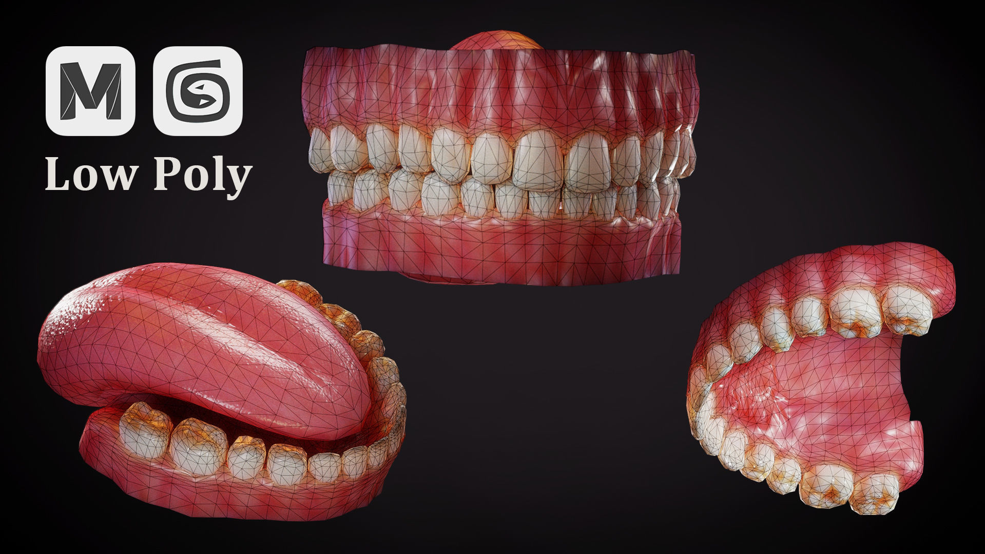 Teeth - Game Ready Low-poly 3D model_4