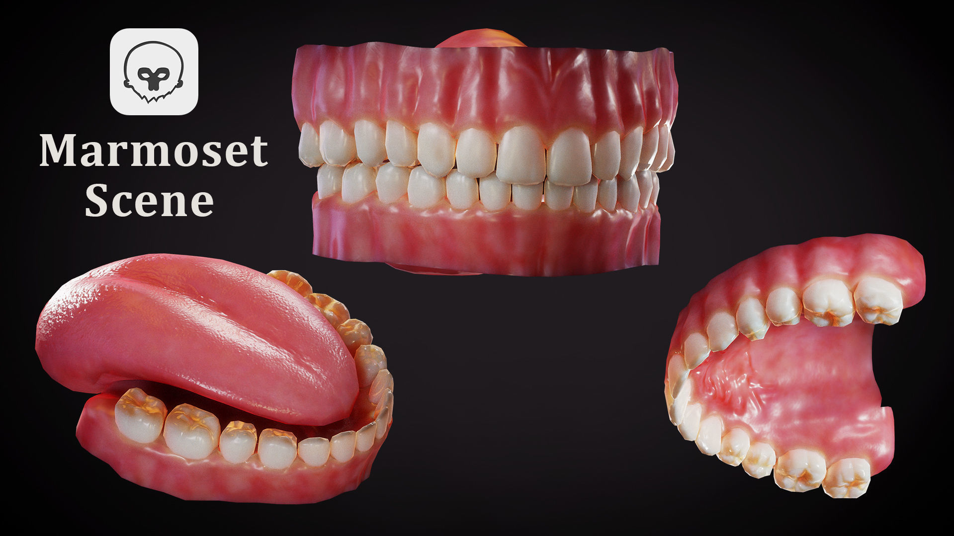 Teeth - Game Ready Low-poly 3D model_3