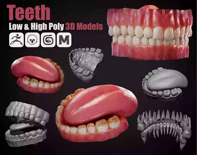 Teeth - Game Ready Low-poly 3D model