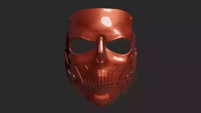 Skull DS Mask